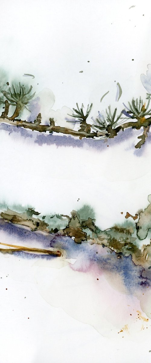 Still life with a branch of cedar. #1. Details of nature by Tatyana Tokareva