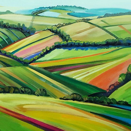 Hills, Fields, Meadows