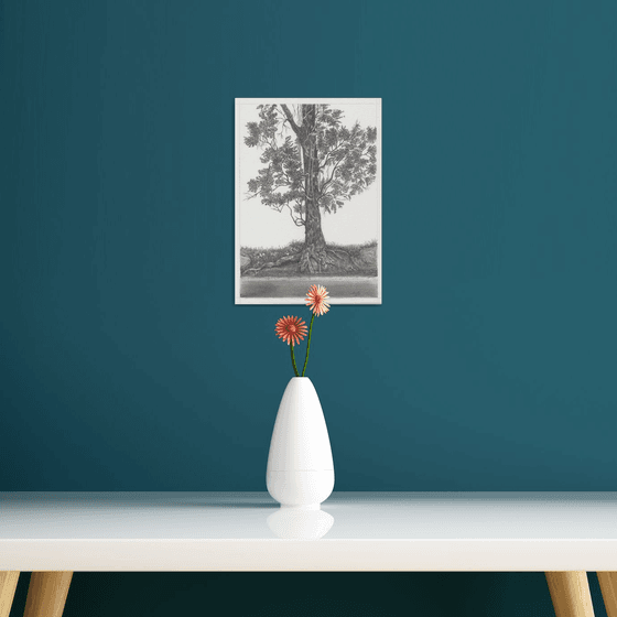 India Mahogany Tree