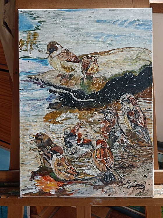 Birds bath
