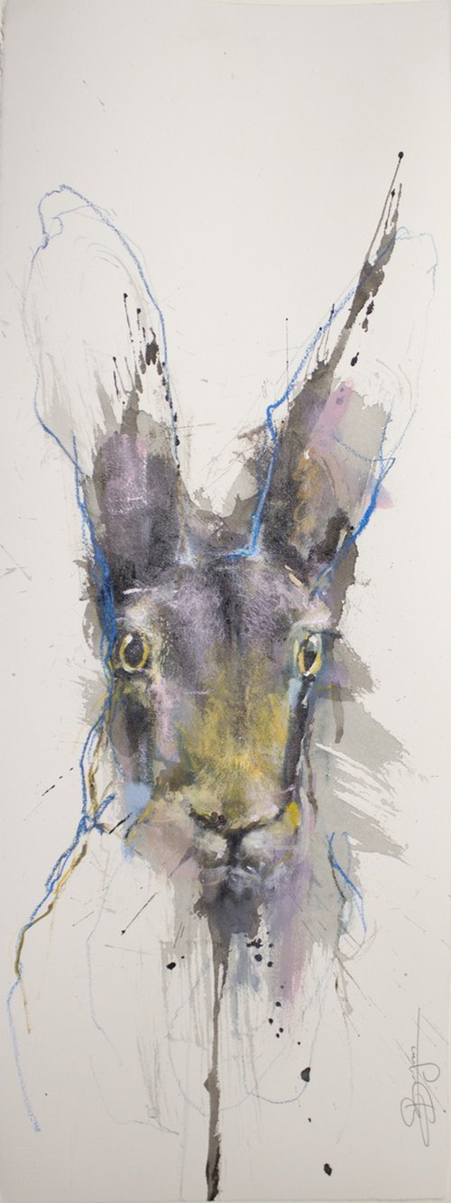 Hare portrait, portrait de lièvre by Laurent Bergues