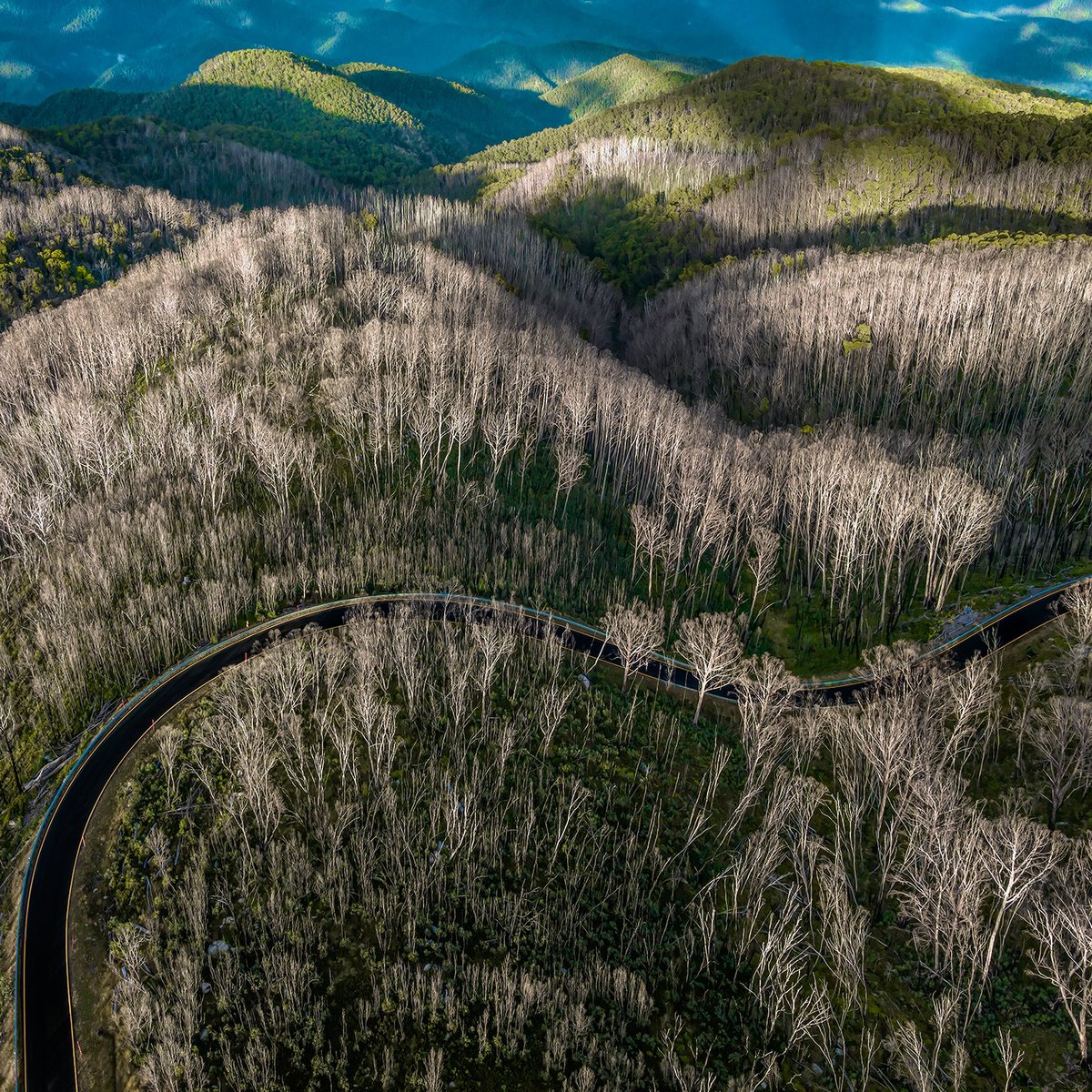 Photorealistic Landscape Photograph By Nick Psomiadis, 35 X 35", Majestic Mountain Drive, Original Artwork