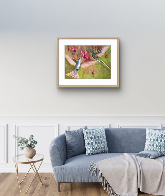 Colibri in flight. Flying