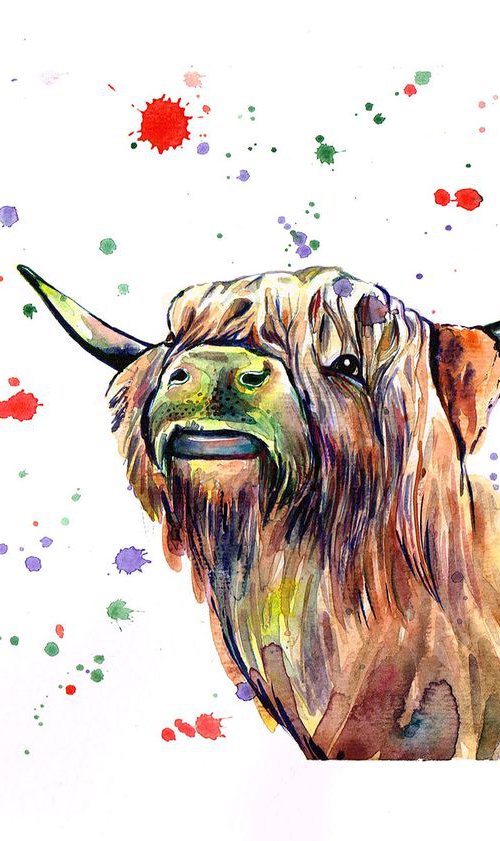 Highland Cow by Diana Aleksanian