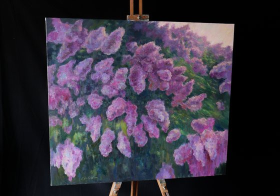 Lilacs Fading Into Light