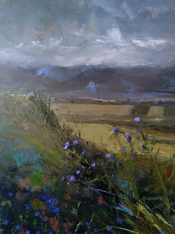 Armenian landscape(60x80cm, oil painting, impressionism, ready to hang)
