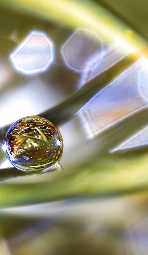 Self Reflection by Inna Etuvgi