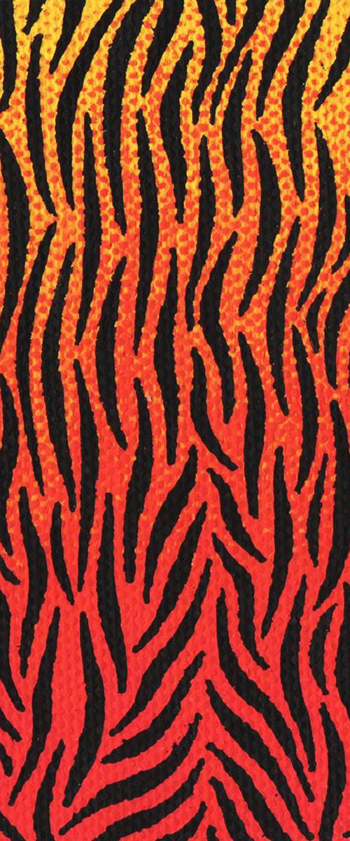Tiger skin by Jonathan Pradillon