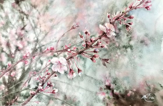 Blooming trees
