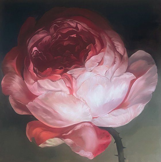 Old Holland flower 12