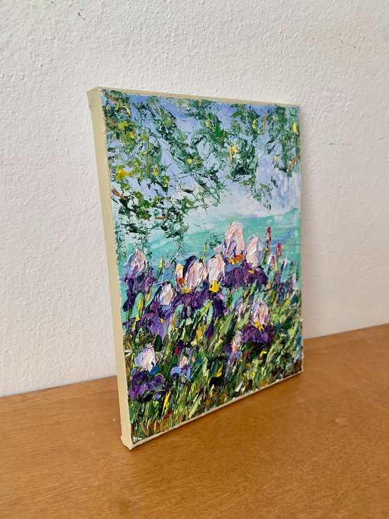 Irises