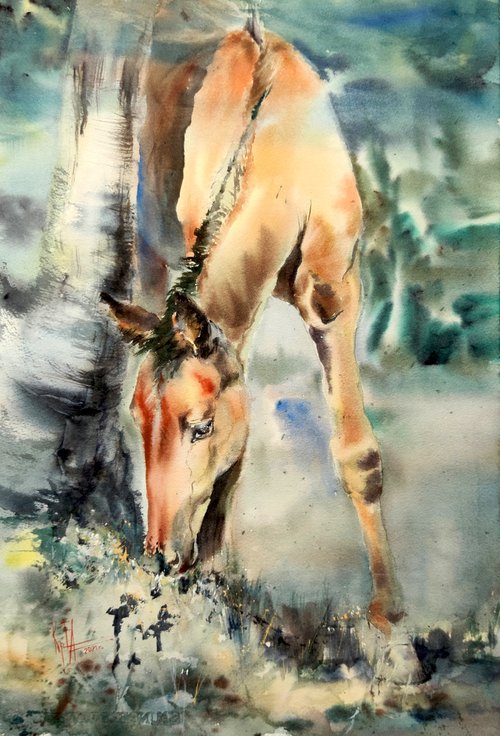 "Sunny foal" by Elena Krivoruchenko