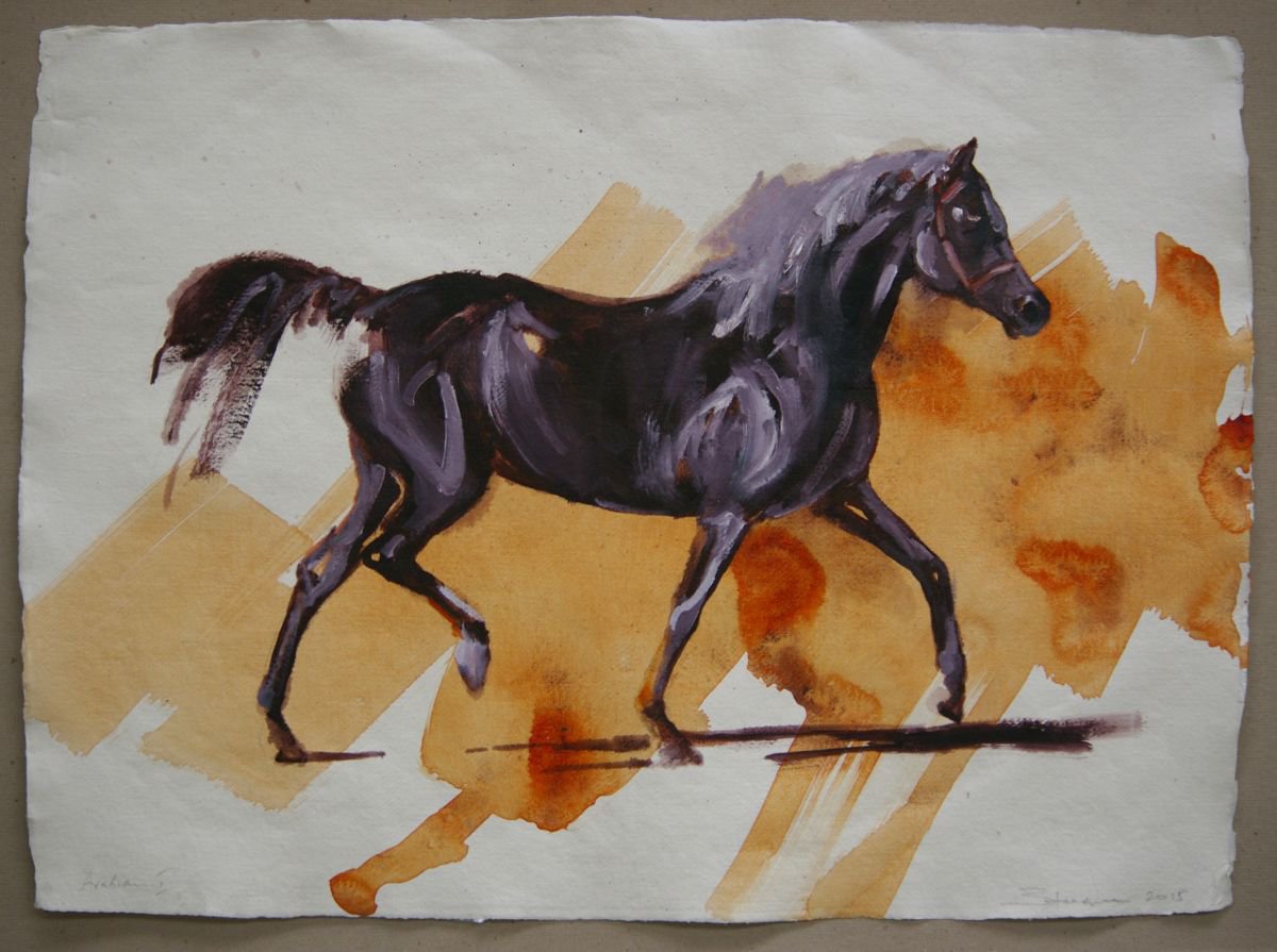Arabian I (study) by Zil Hoque