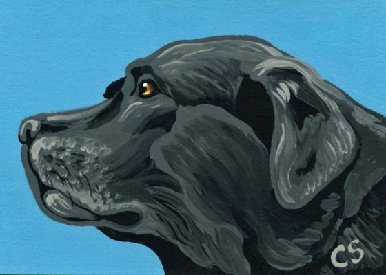 ACEO ATC Original Painting Black Labrador Retriever Pet Dog Art-Carla Smale