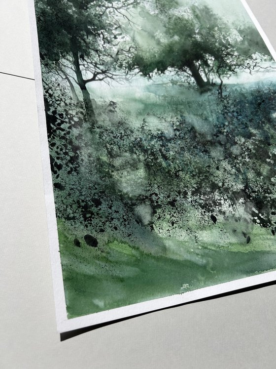 Landscape
