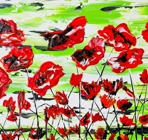 Red Poppies by Daniel Urbaník