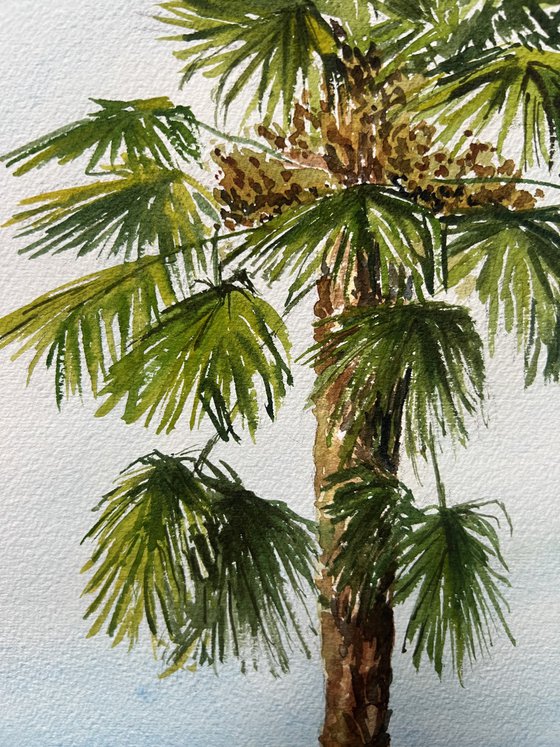 Palm tree - plein air