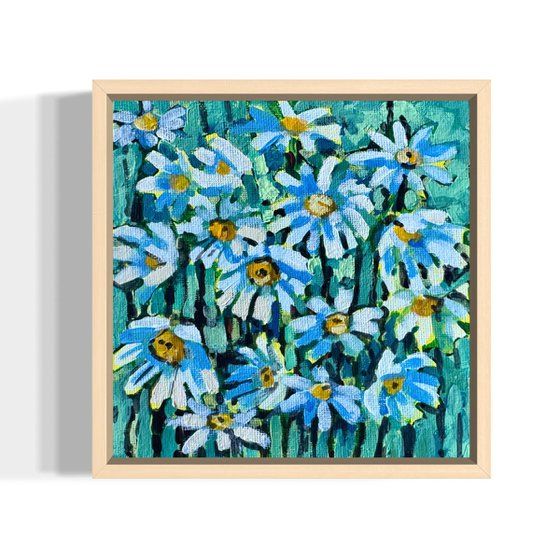 Daisies