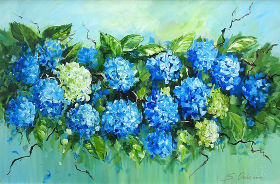 Blooming Hydrangea Serenity