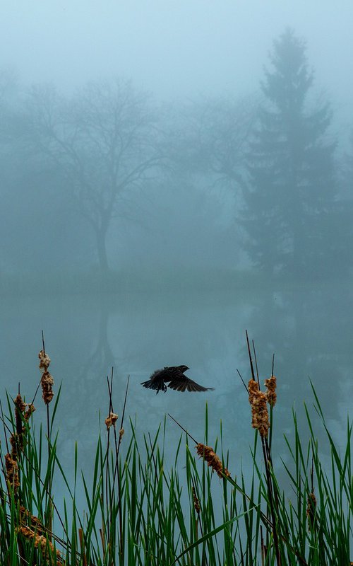 Milwaukee Lake 3 by MICHAEL FILONOW