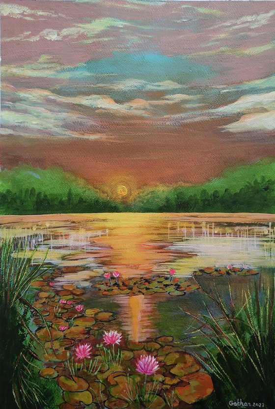 Sunset water lilies
