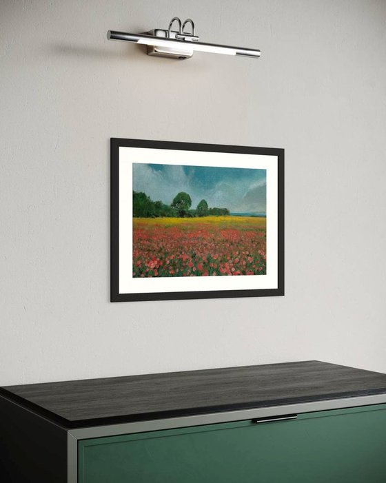 Poppies