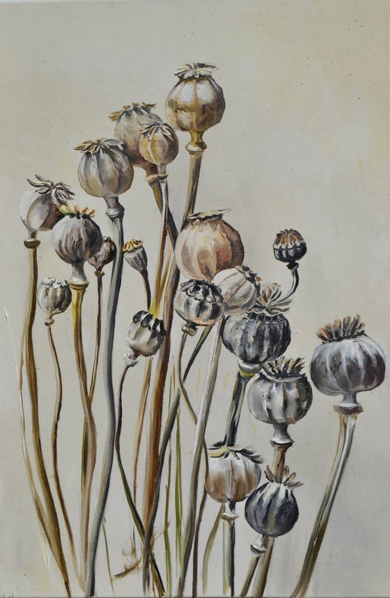 Pastel Poppy Pods