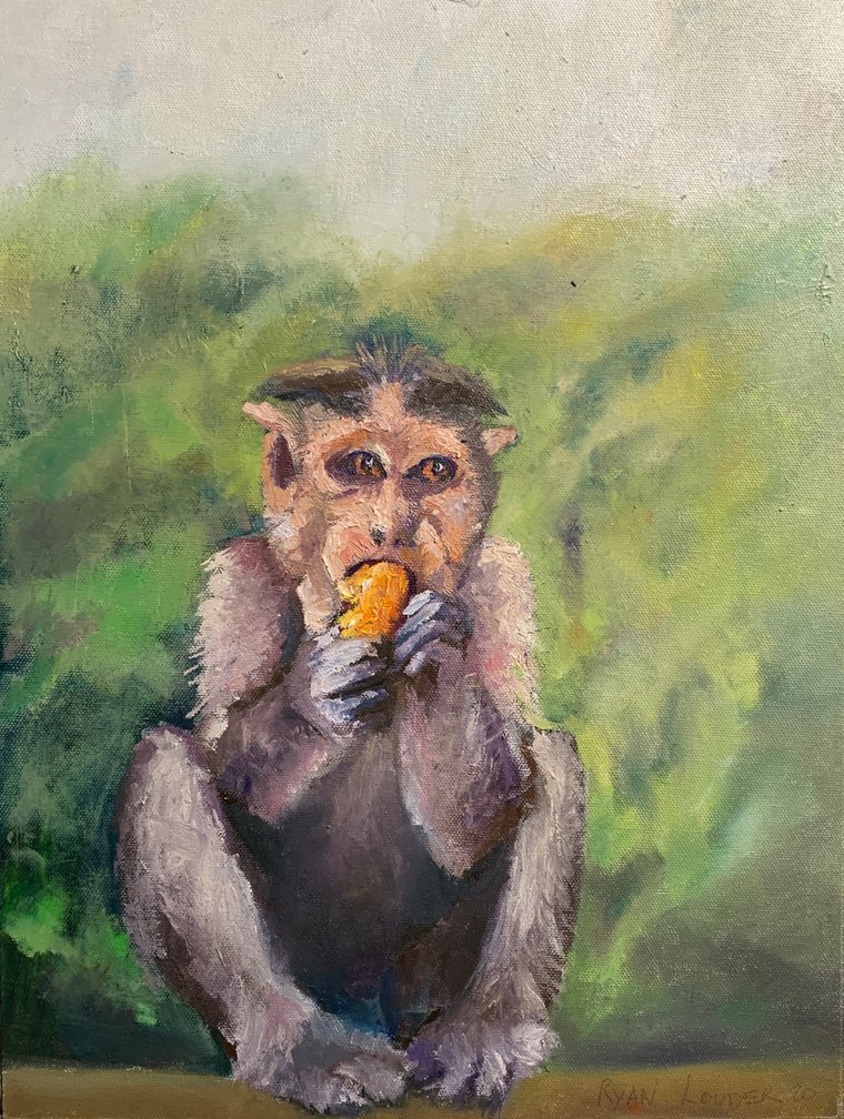 Results for &quot;monkey paintings&quot; in art | Artfinder