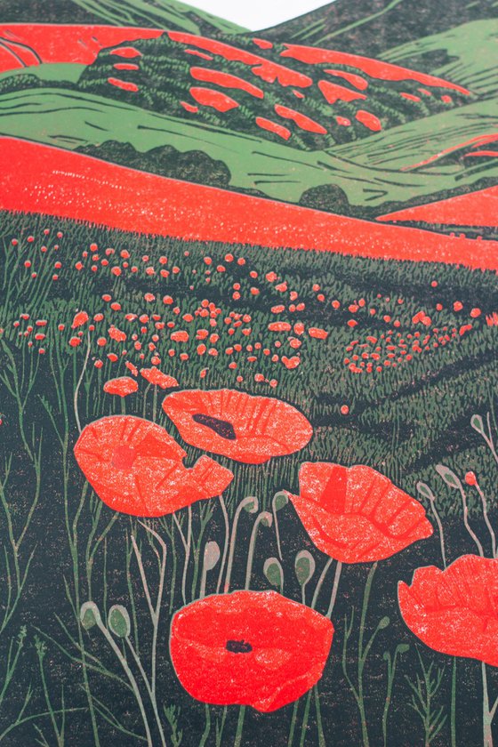 'Hillside Poppies in Bloom'