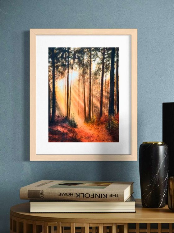Forest Clearing