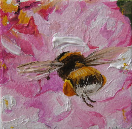 Bumblebee on Pink Petals