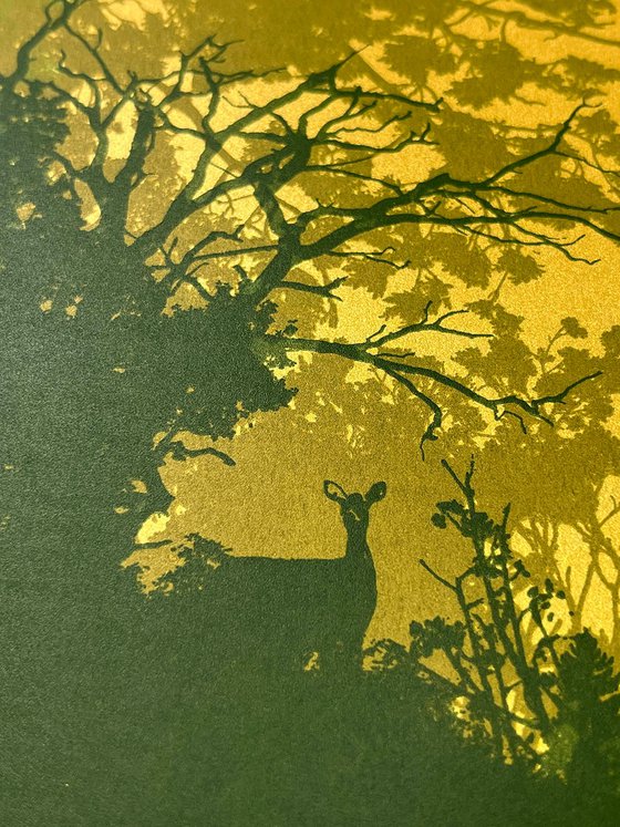 Gap in the Forest