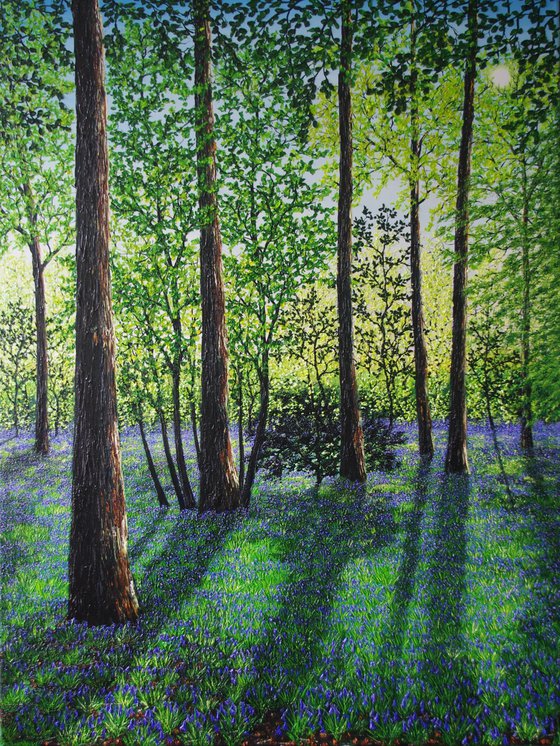 Springtime Shadows