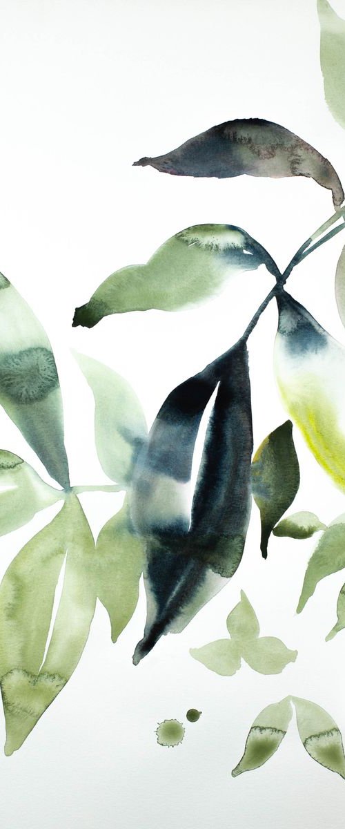 The Woods No. 47 by Elizabeth Becker
