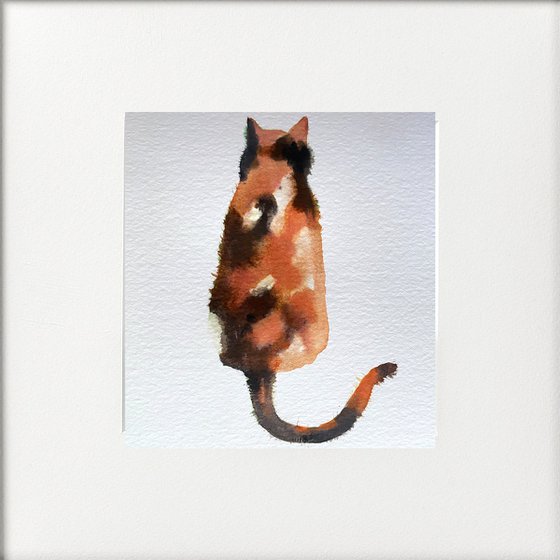 Tortoiseshell Cat behind