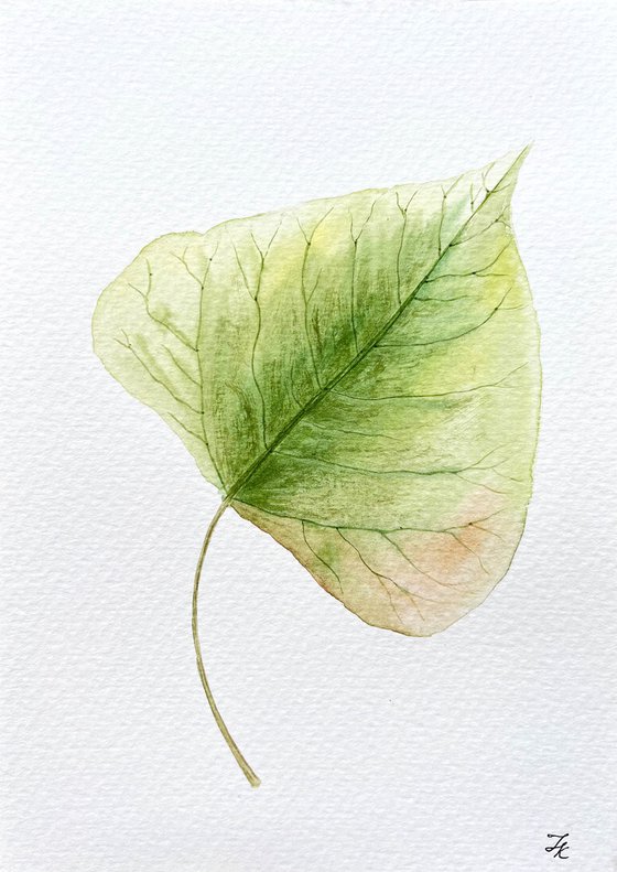 Autumn leaf Sketch #5