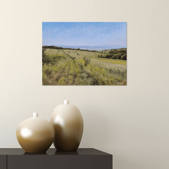 Meadow in Rabbit Slopes