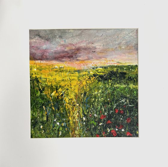 Wildflower meadow framed