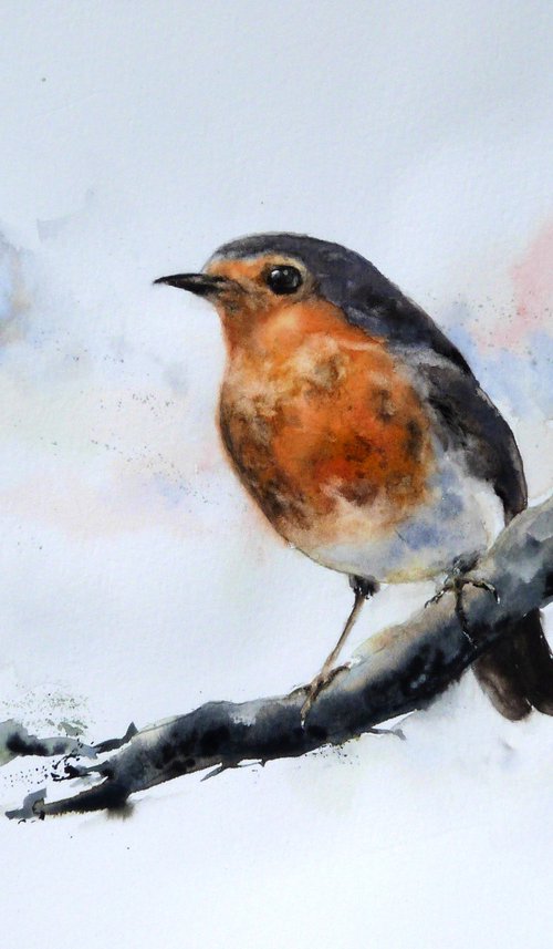 A Robin by Graham Kemp