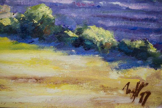 Provence. Cloudy day. Original oil painting. Small size original purple blue sky provence france nature impressionism