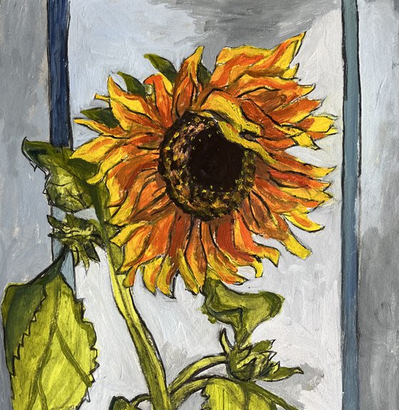 Garden sunflower