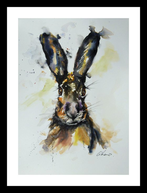 The Enigmatic Hare.