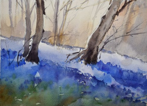 Bluebell woods ,Cornwall V by Goran Žigolić Watercolors