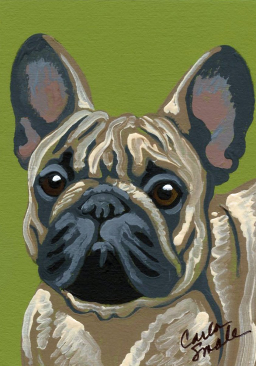 French Bulldog by Carla Smale