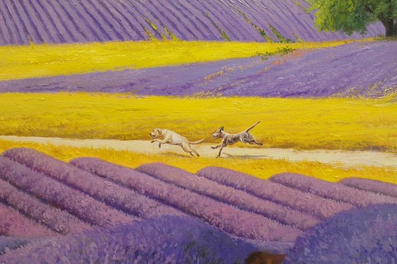 Lavender fields - commission artwork