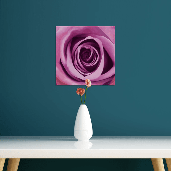 Love. Purple Rose