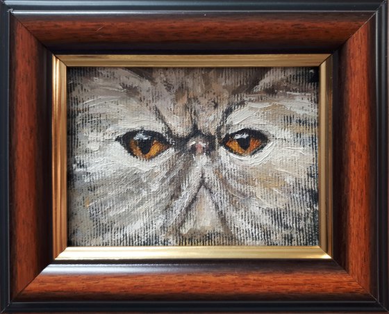 CAT V framed / FROM MY A SERIES OF MINI WORKS CATS/ ORIGINAL OIL PAINTING