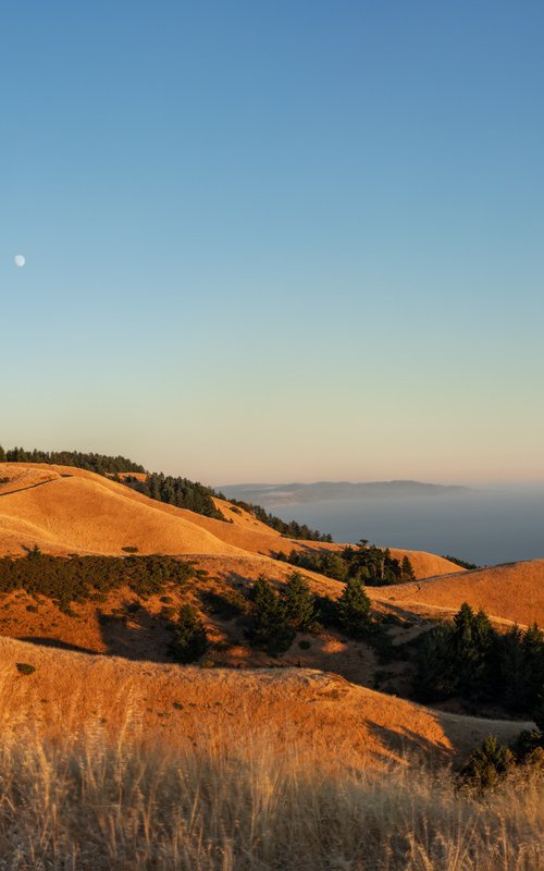 Moonrise over Mt Tam by Robert Houser