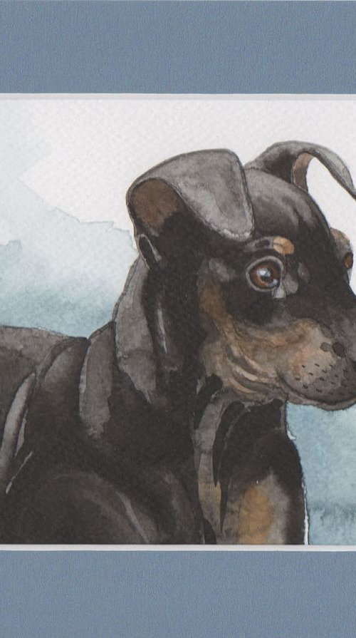 Manchester terrier on a walk * free shipping * by Jolanta Czarnecka