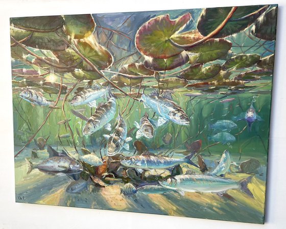 Undersea world